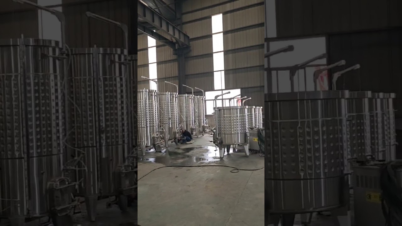2000L variable capacity wine tank