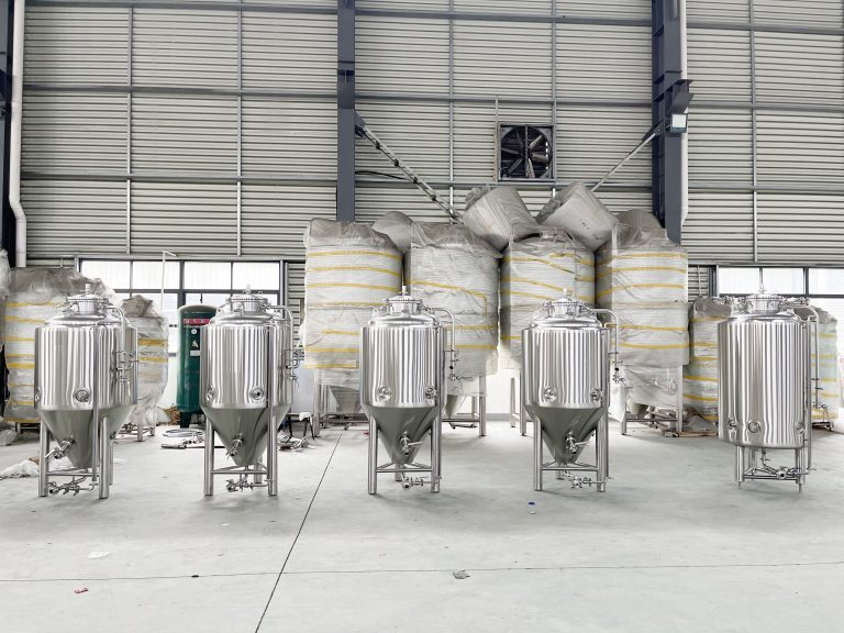 500L beer fermentation tanks
