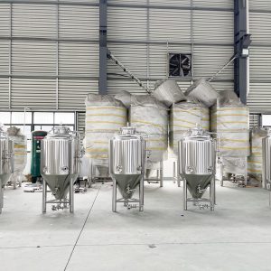 500L beer fermentation tanks