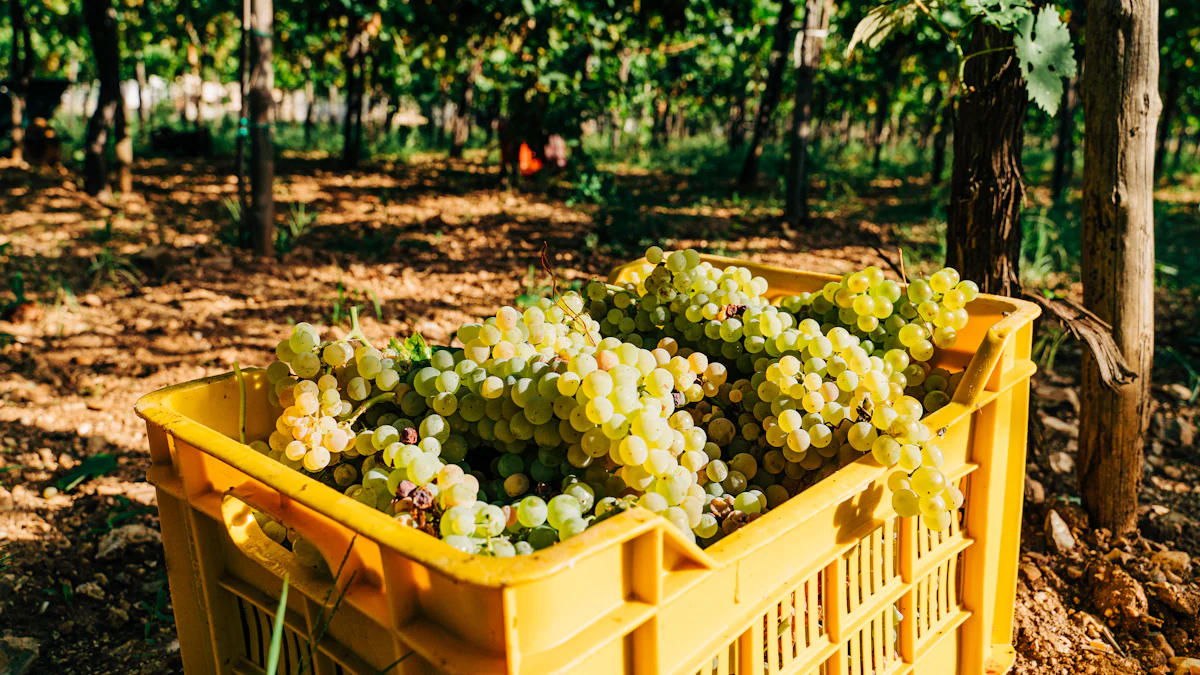 Understanding the Cider Fermenting Bucket