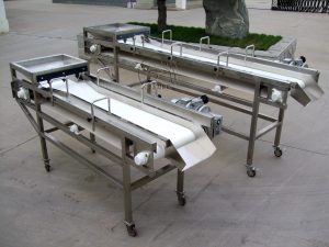 Grape Cluster Belt Sorting Conveyor