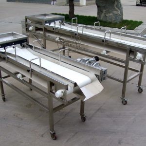 Grape Cluster Belt Sorting Conveyor