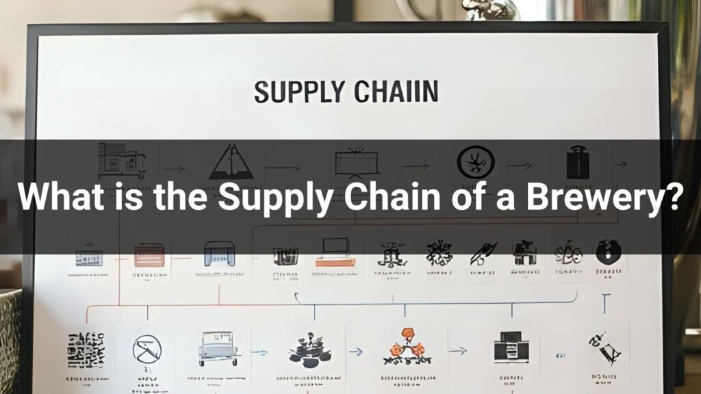 What is the Supply Chain of a Brewery?